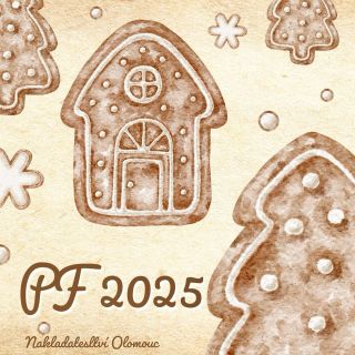 Krásné Vánoce a šťastný nový rok Ať je pro Vás rok 2025 plný inspirace, nových příležitostí a radostných okamžiků.